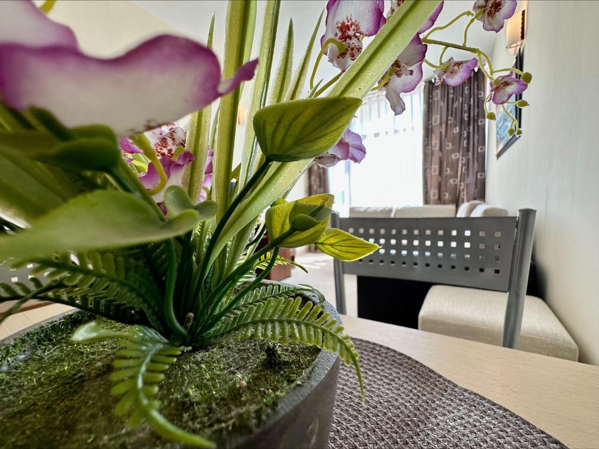 Grenada - Menada Apartments ซันนีบีช ห้อง รูปภาพ